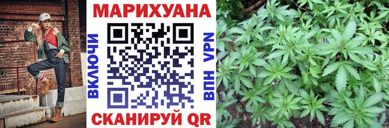 закладки  Егорьевск  Бошки марихуана White Widow 